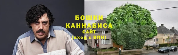 индика Верея